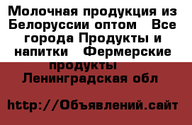 Молочная продукция из Белоруссии оптом - Все города Продукты и напитки » Фермерские продукты   . Ленинградская обл.